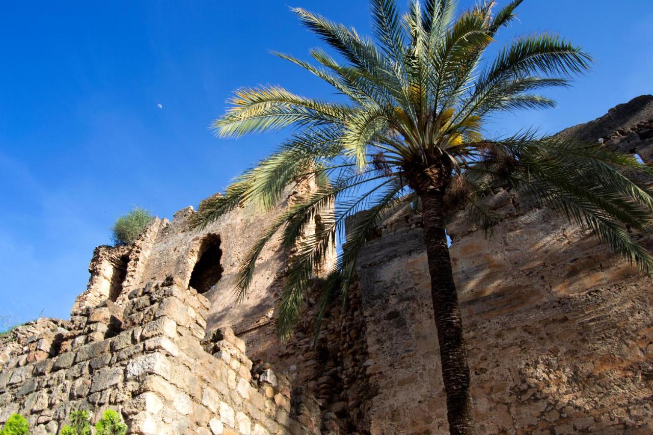 Edificio Ramiro Lägenhet Marbella Exteriör bild
